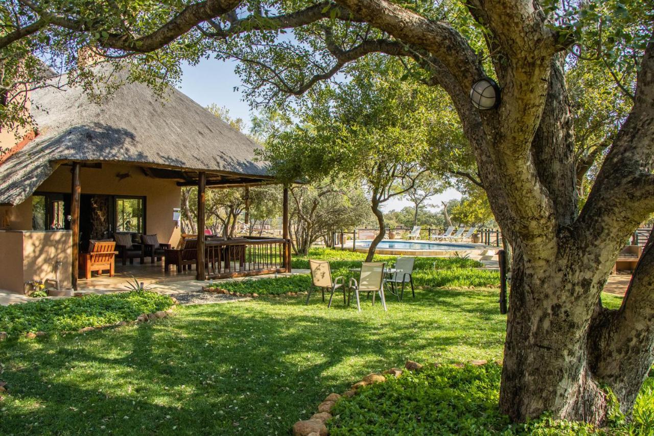 Golden Impalas Bush Resort Хамманскраал Екстер'єр фото